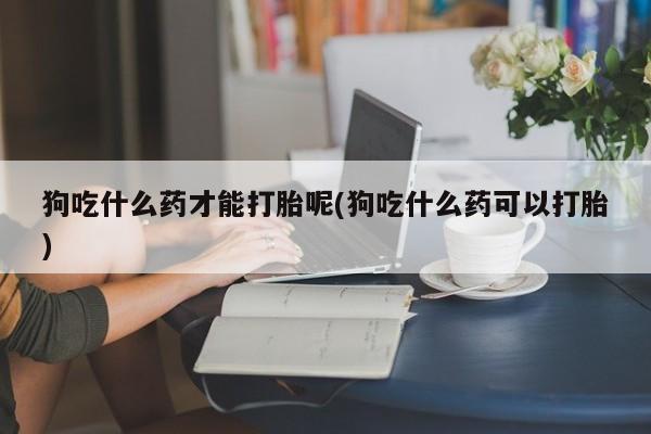 打胎药私人微信购买狗吃什么药才能打胎呢(狗吃什么药可以打胎)