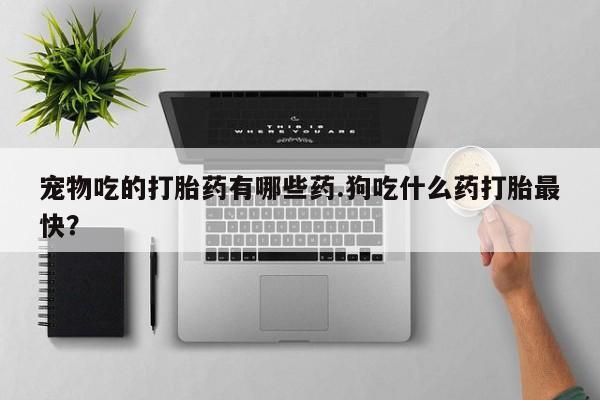 打胎药私人微信购买宠物吃的打胎药有哪些药.狗吃什么药打胎最快？