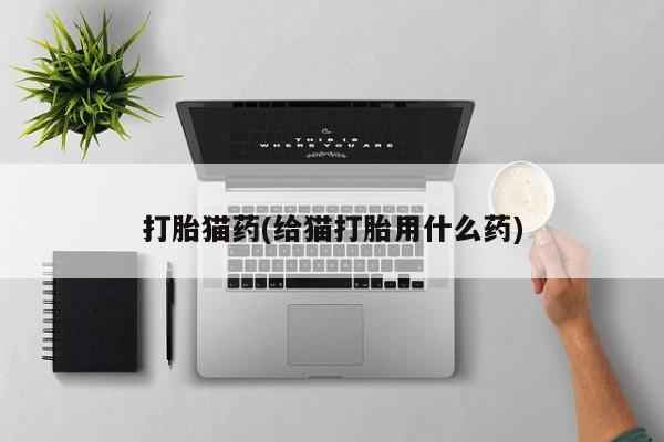 打胎药私人微信购买打胎猫药(给猫打胎用什么药)